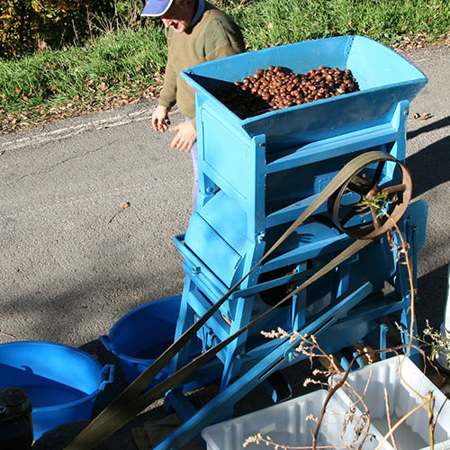 Immagine per la categoria La sbucciatura delle castagne secche